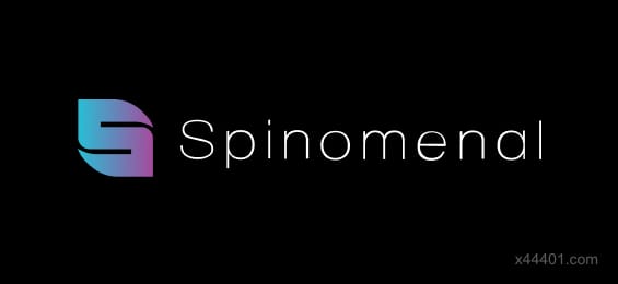 Visa Verified Payments